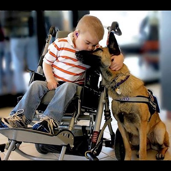 4 Paws For Ability 4 Paws